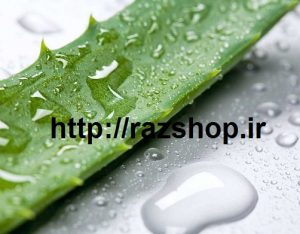 روشن و سفید شدن رنگ پوست با آلوئه ورا